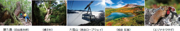 阪急交通社 国内ハイキング・登山の旅 好調コロナ前の1.8倍尾瀬に40時間滞在する旅や登山学校シリーズが人気