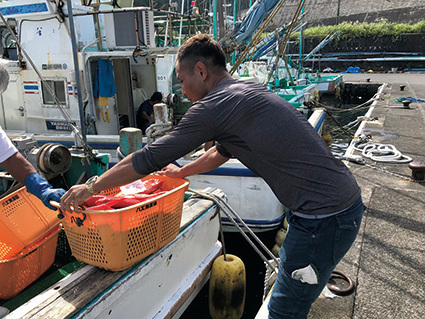 従事者の高齢化や後継者不足など課題解決の一助に東京の島で「島暮らし体験」ができる漁業・農業就業体験者を募集開始