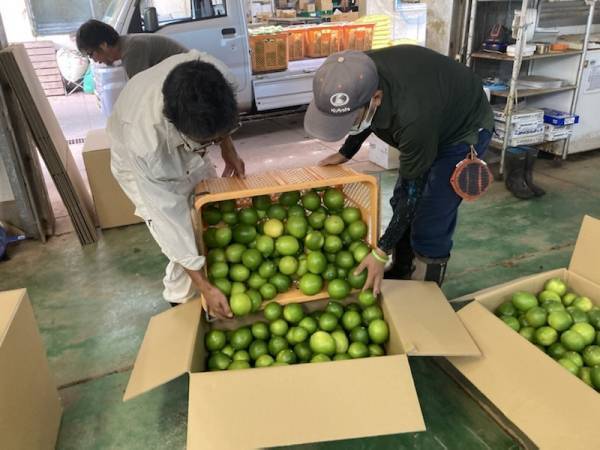 従事者の高齢化や後継者不足など課題解決の一助に東京の島で「島暮らし体験」ができる漁業・農業就業体験者を募集開始