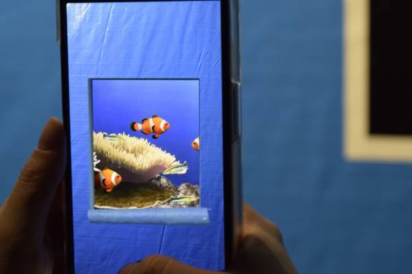 海遊館の特別企画『スマホをかざすと中がのぞける!?「BLUE SEAT」』