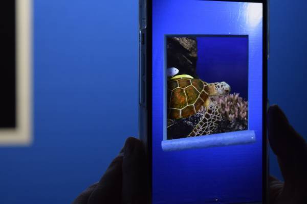 海遊館の特別企画『スマホをかざすと中がのぞける!?「BLUE SEAT」』