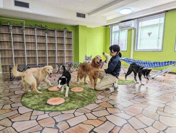 次世代都市型動物園　動物たちが暮らす森Animeal(アニミル)は7月22日より動物エリアのパワーアップを実施！～お台場店・心斎橋店に新しい仲間も登場！～