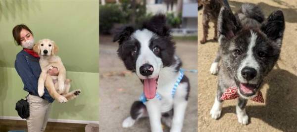 次世代都市型動物園　動物たちが暮らす森Animeal(アニミル)は7月22日より動物エリアのパワーアップを実施！～お台場店・心斎橋店に新しい仲間も登場！～