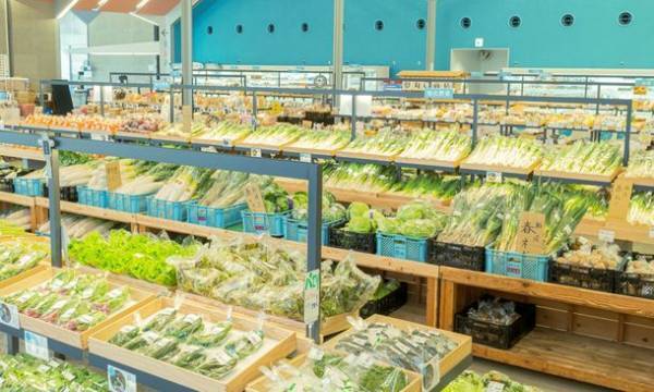 千葉・手賀沼にて4年ぶりの花火大会が開催！カワイイからロマンチックまで底無し！手賀沼エリアの魅力紹介