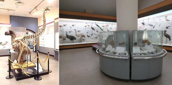 千葉・手賀沼にて4年ぶりの花火大会が開催！カワイイからロマンチックまで底無し！手賀沼エリアの魅力紹介