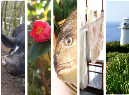 SDGsの取組みを通して、東京諸島の魅力を発信！“東京愛らんどSDGsギャラリー”開催！