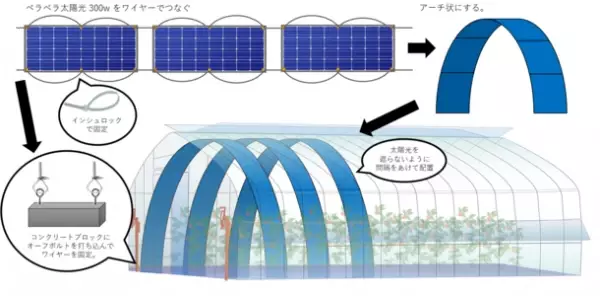 ビニールハウスに曲がる超薄型太陽光発電パネルを設置「水耕栽培用ペラペラ太陽光」サービスを8月1日からスタート