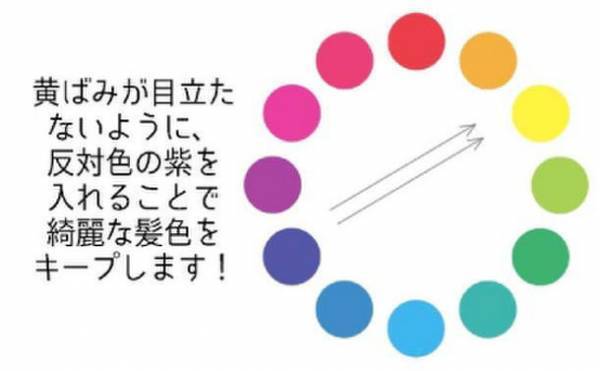 ムラサキシャンプーランキングで1位を獲得した「＆PURPLE」が8月1日からリニューアル