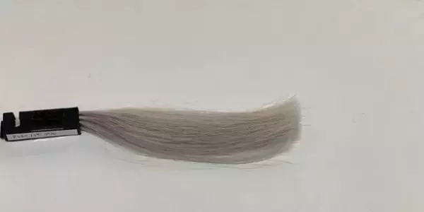 ≪2023≫現役美容師が徹底比較！最新の紫シャンプーランキングを公開