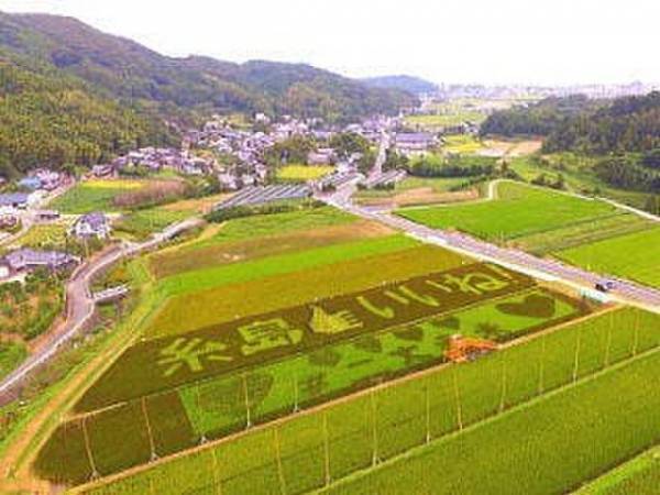 日本の米文化が無くなる！？米農家が存続危機　糸島の赤米農家を支えた赤米茶を通して日本の農業を学ぶ工場見学8月4日(金)、8日(火)開催！