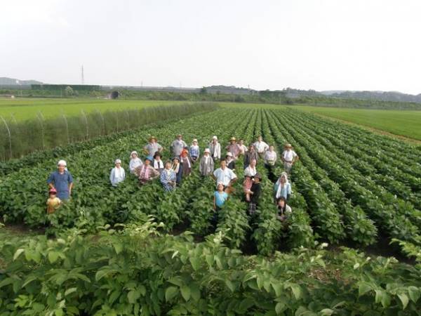 食料安全保障で再注目！安全安心の「大豆畑トラスト」　消費者と生産者つなぐ「草取りツアー」山形新庄にて8/5(土)・6(日)開催