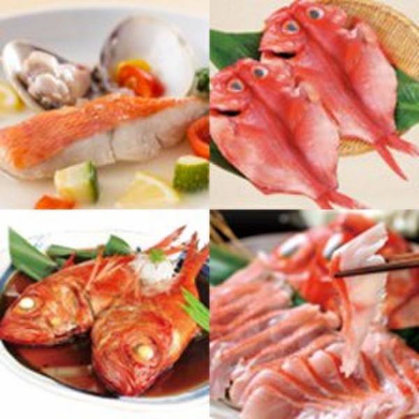 日本初登場！伊豆名産の金目鯛をテーマとした「徳造丸 金目鯛の駅 伊豆高原」がグランドオープン！飲食や物販に加えドッグランやカフェテラスも併設