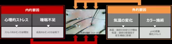 髪質ケアの次なるステージへ　頭皮から始める「未来の髪へのプラス5分ケア」でいつでも手軽に心地よく、スカルプケアが始められる新商品が登場
