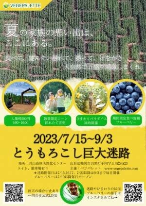 山形県鶴岡市のとうもろこし巨大迷路で鬼ごっこ！2023年7月30日～8月20日までの毎週日曜日に開催