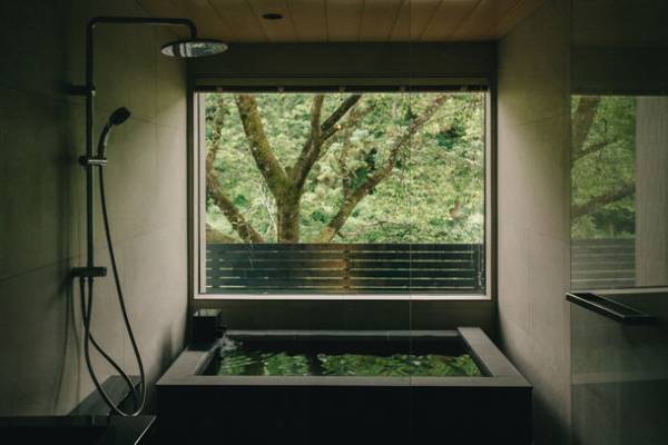 森に囲まれた貸別荘＆カフェ「TEF TANIGUMI」1周年！岐阜にゆかりあるゲストを招いた特別内覧会を実施　隣接の根尾川谷汲温泉は入泉料半額のスペシャルデー