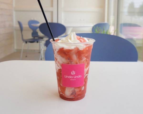 森に囲まれた貸別荘＆カフェ「TEF TANIGUMI」1周年！岐阜にゆかりあるゲストを招いた特別内覧会を実施　隣接の根尾川谷汲温泉は入泉料半額のスペシャルデー