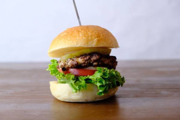 森に囲まれた貸別荘＆カフェ「TEF TANIGUMI」1周年！岐阜にゆかりあるゲストを招いた特別内覧会を実施　隣接の根尾川谷汲温泉は入泉料半額のスペシャルデー