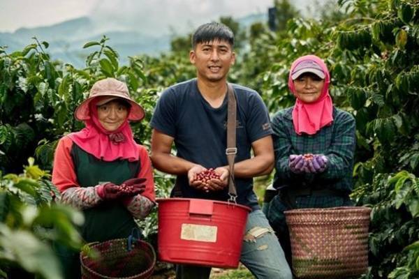 台湾水保局がHISにて台湾のコーヒー農園体験ツアーを発表！7月28日～30日には代々木台湾フェスタに「台湾珈琲」ブースも出店　今、「台湾珈琲」がアツい！！！