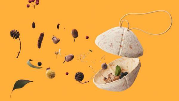 教育支援プロジェクト「子どもの子どもまでプロジェクト」が自然の音をあつめる楽器「オトノミ」の販売を開始！