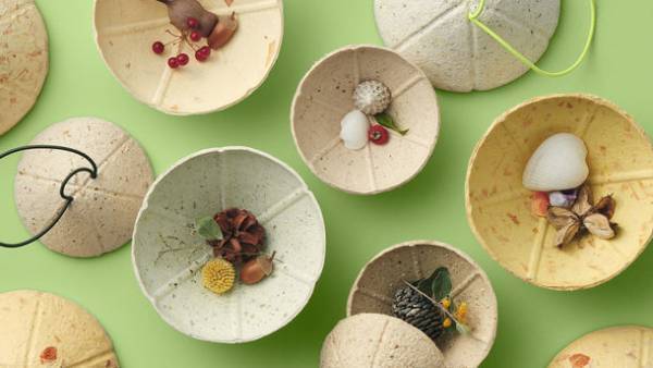 教育支援プロジェクト「子どもの子どもまでプロジェクト」が自然の音をあつめる楽器「オトノミ」の販売を開始！