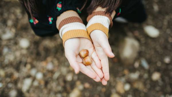 教育支援プロジェクト「子どもの子どもまでプロジェクト」が自然の音をあつめる楽器「オトノミ」の販売を開始！