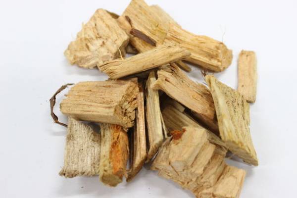 2023年7月22日(土)　ウッドチップを利用したバイオマスボイラーの稼働開始！富士屋ホテル仙石ゴルフコース