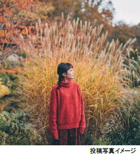 ROKKO森の音ミュージアムイベントアートとのんびり 森の音オータムフェア開催