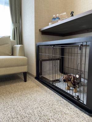 日本初、ペットと泊まれる産院「ロビンの空クリニック」が東京都立川市で8月1日開業