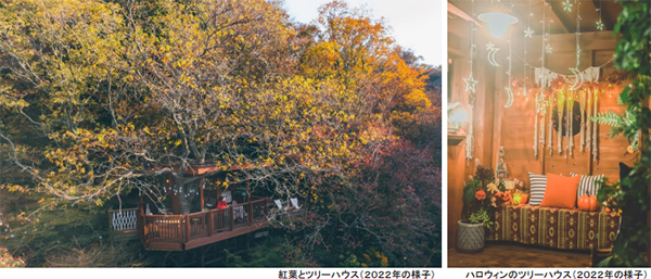 ROKKO森の音ミュージアムSIKIガーデンAutumnSeason10月中旬～11月中旬は紅葉見頃、ライトアップも実施2023年10月1日（日）～11月23日（木・祝）