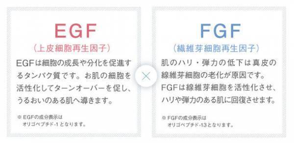 ホメオバウ アイクリーム　2023年9月20日(水)リニューアル新発売