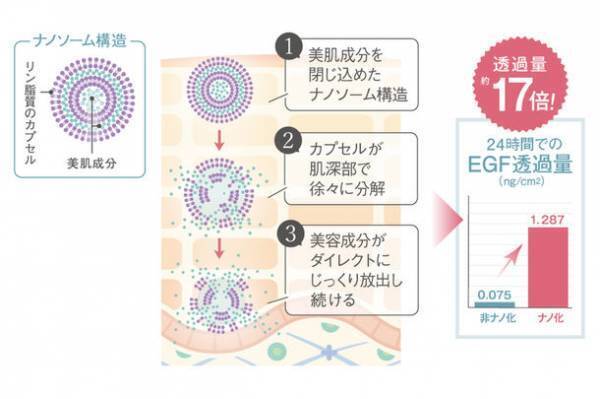 ホメオバウ アイクリーム　2023年9月20日(水)リニューアル新発売