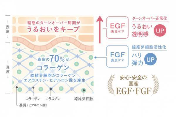 ホメオバウ アイクリーム　2023年9月20日(水)リニューアル新発売