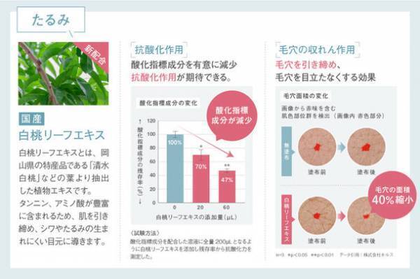 ホメオバウ アイクリーム　2023年9月20日(水)リニューアル新発売