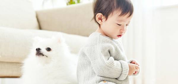 最大加熱約60℃のヒーターを搭載したお湯の力で布製品のしつこい汚れを落とす加熱式カーペットクリーナーを8/22より発売