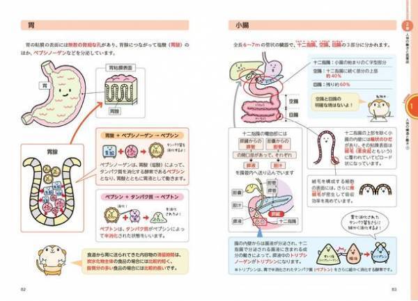 マイナビ出版ライセンスシリーズから令和5年4月の最新手引きに対応した、登録販売者試験対策書籍『イメージで攻略　わかる！受かる！！登録販売者　テキスト＆問題集』が発売！