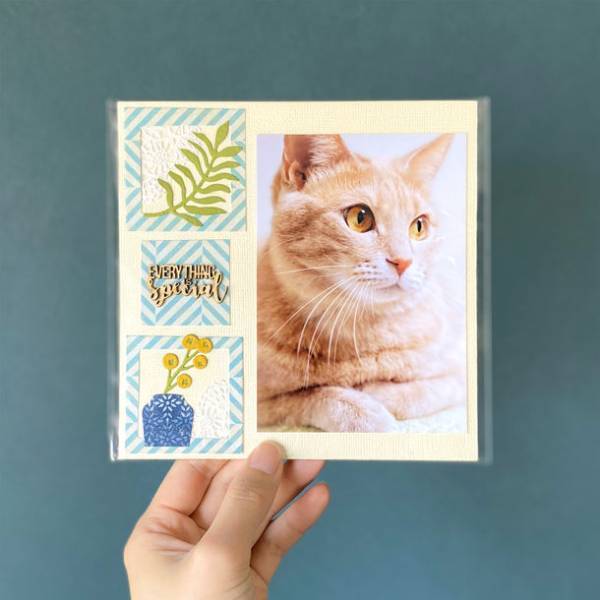 「ものづくりで保護ネコ支援 アオネコaoneco」7月29日(土)～8月8日(火)の期間限定で世界猫の日応援キャンペーンを開催