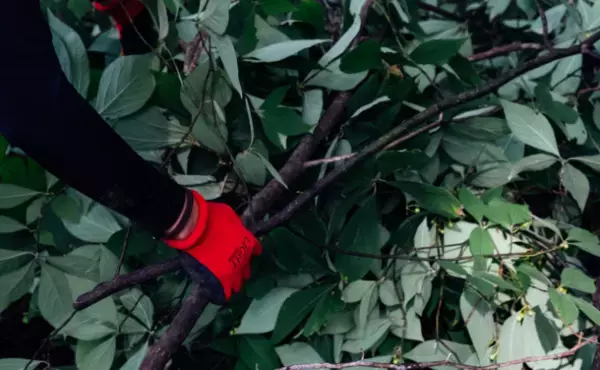 宮崎県美郷町の限界集落発D2Cブランド TENMEIから全く新しいハミガキジェル『MINDFUL TOOTHPASTE』を8月4日より「Makuake」にて先行予約販売開始