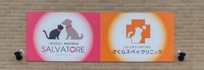 のら猫不妊去勢手術専門病院が滋賀県草津市にオープン　猫手術を無料で実施するためのコミュニティも開設！