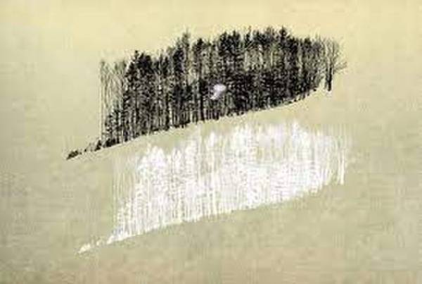 新表現！写真や絵を使ってパソコンで制作するデジタル版画に注目　第11回デューロ国際版画ビエンナーレで定年後に作品作りを始めた元高校教諭の作品が招待出品