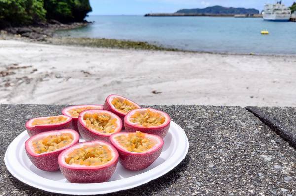 東京愛らんど“特産品販売協力店制度”の事業者を募集小笠原村・母島でパッションフルーツ収穫支援を実施～(株)日本果汁による地域貢献活動のご紹介～