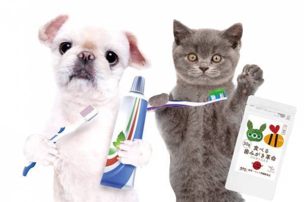 犬・猫の口臭ケアができる無添加サプリが販売総数70,000袋突破！8月2日よりアンケート回答者は500円で商品購入が可能