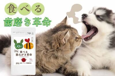 犬・猫の口臭ケアができる無添加サプリが販売総数70,000袋突破！8月2日よりアンケート回答者は500円で商品購入が可能