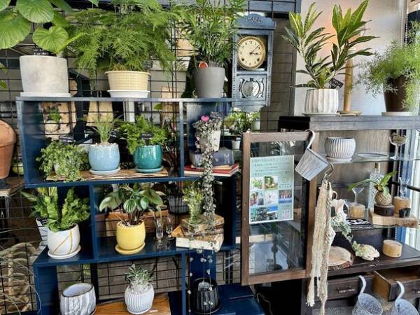 厚木から日本初！持続可能な循環型園芸店「らくうぇる」温暖化問題、高齢化の波、問題だらけのこの世界、枯れ木に花を咲かせよう「花咲か爺さん」サービス開始！