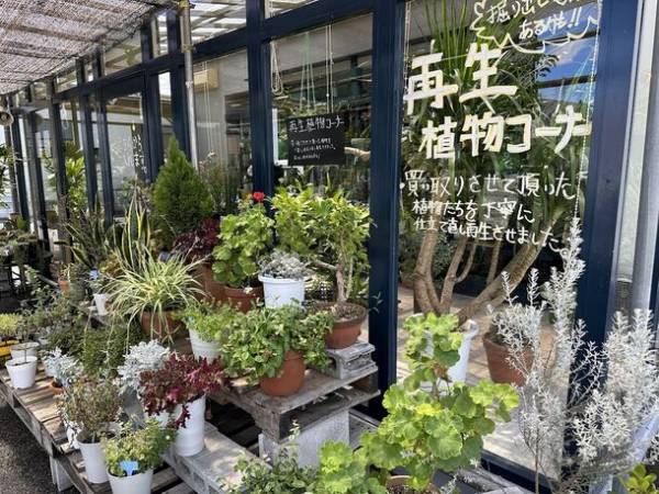厚木から日本初！持続可能な循環型園芸店「らくうぇる」温暖化問題、高齢化の波、問題だらけのこの世界、枯れ木に花を咲かせよう「花咲か爺さん」サービス開始！