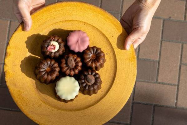 関西エリア初開催！陶磁器(やきもの)の魅力が満載　「器と暮らし市 in 万博記念公園」を9月23日(土祝)～24日(日)に開催！