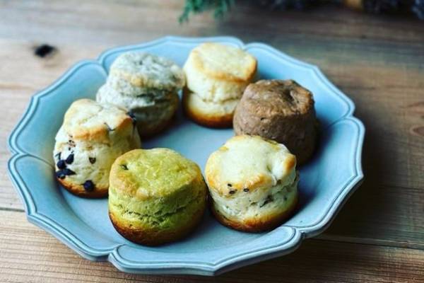 関西エリア初開催！陶磁器(やきもの)の魅力が満載　「器と暮らし市 in 万博記念公園」を9月23日(土祝)～24日(日)に開催！