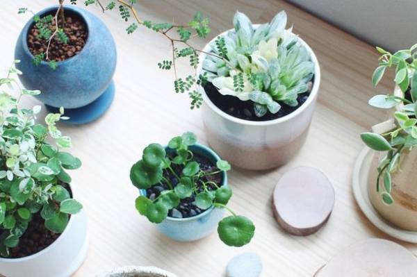 関西エリア初開催！陶磁器(やきもの)の魅力が満載　「器と暮らし市 in 万博記念公園」を9月23日(土祝)～24日(日)に開催！