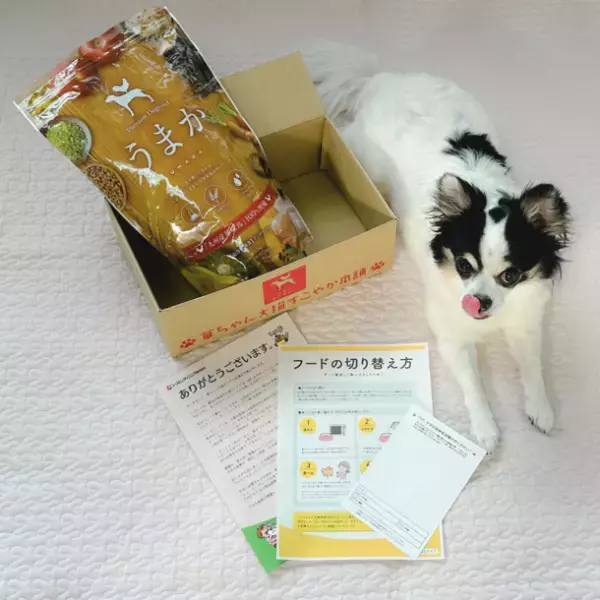 『華味鳥』100％使用のドッグフード【うまか】【やわか】が熊本県玉名市のふるさと納税返礼品として初登場！