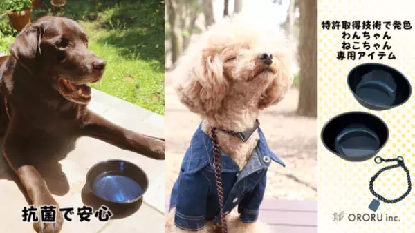 ＜抗菌＞特許取得技術で発色加工されたステンレスのペットアイテムを「Makuake」にて8/8先行販売開始！