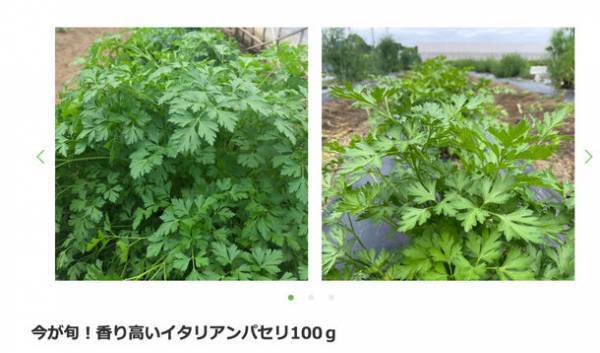 食育などの体験と一緒に産直野菜や果物を販売するECサイト「Sukuwell」9月22日(金)よりユーザーの会員登録を開始